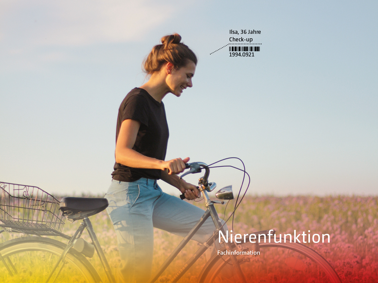 Titelbild Broschüre Nierenfunktion