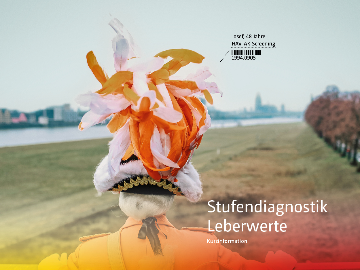 Titelbild Broschüre Stufendiagnostik Leberwerte