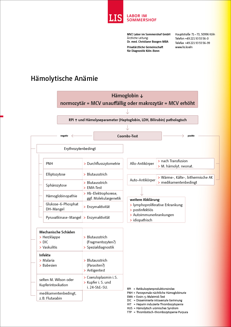 Schaubild Hämolytische Anämie