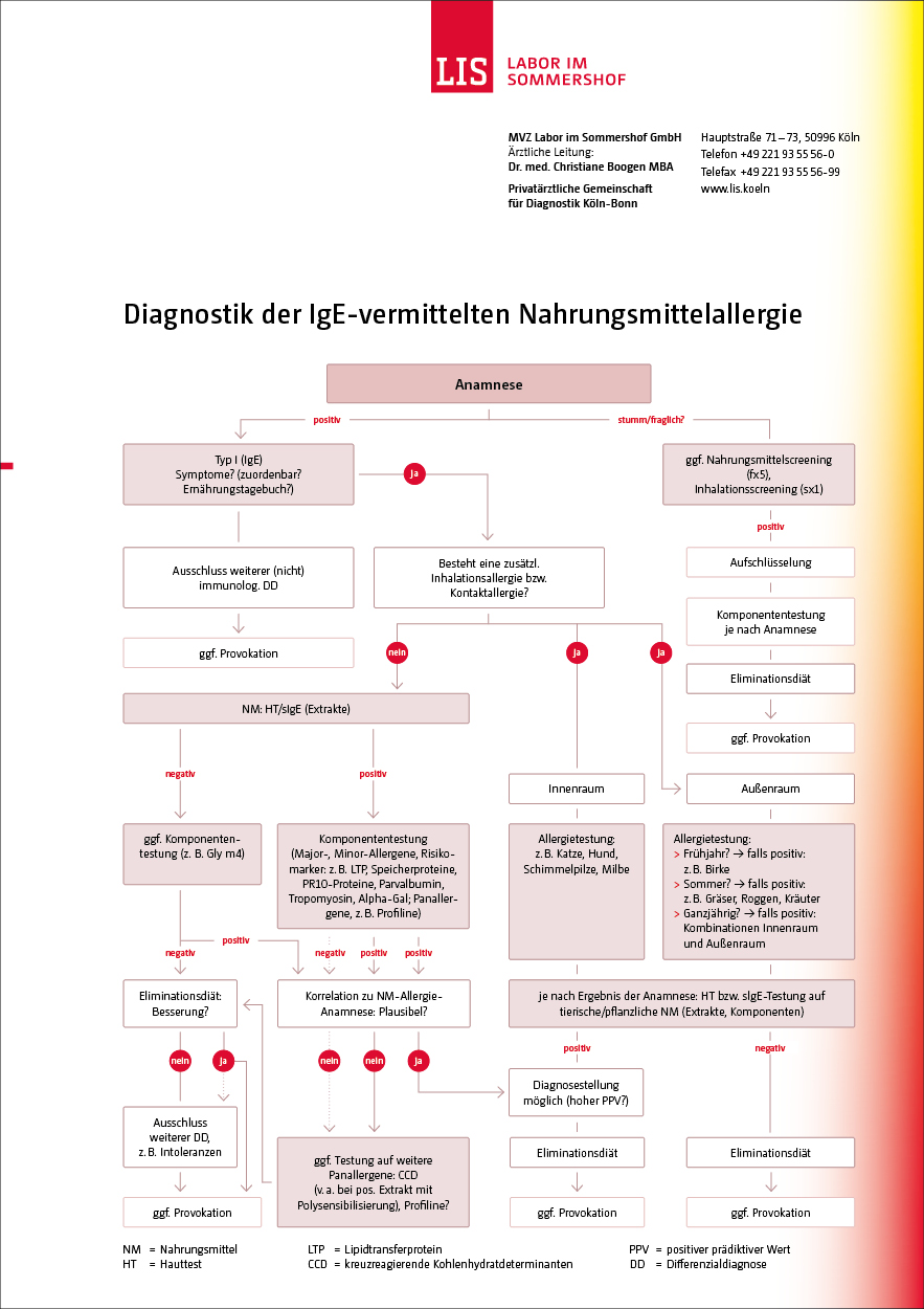 Schaubild IgE-vermittelte Nahrungsmittelallergie