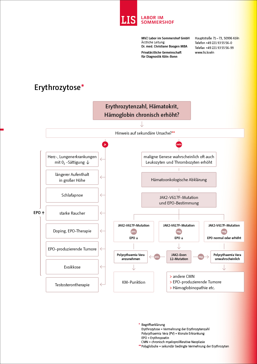 Schaubild Erythrozytose