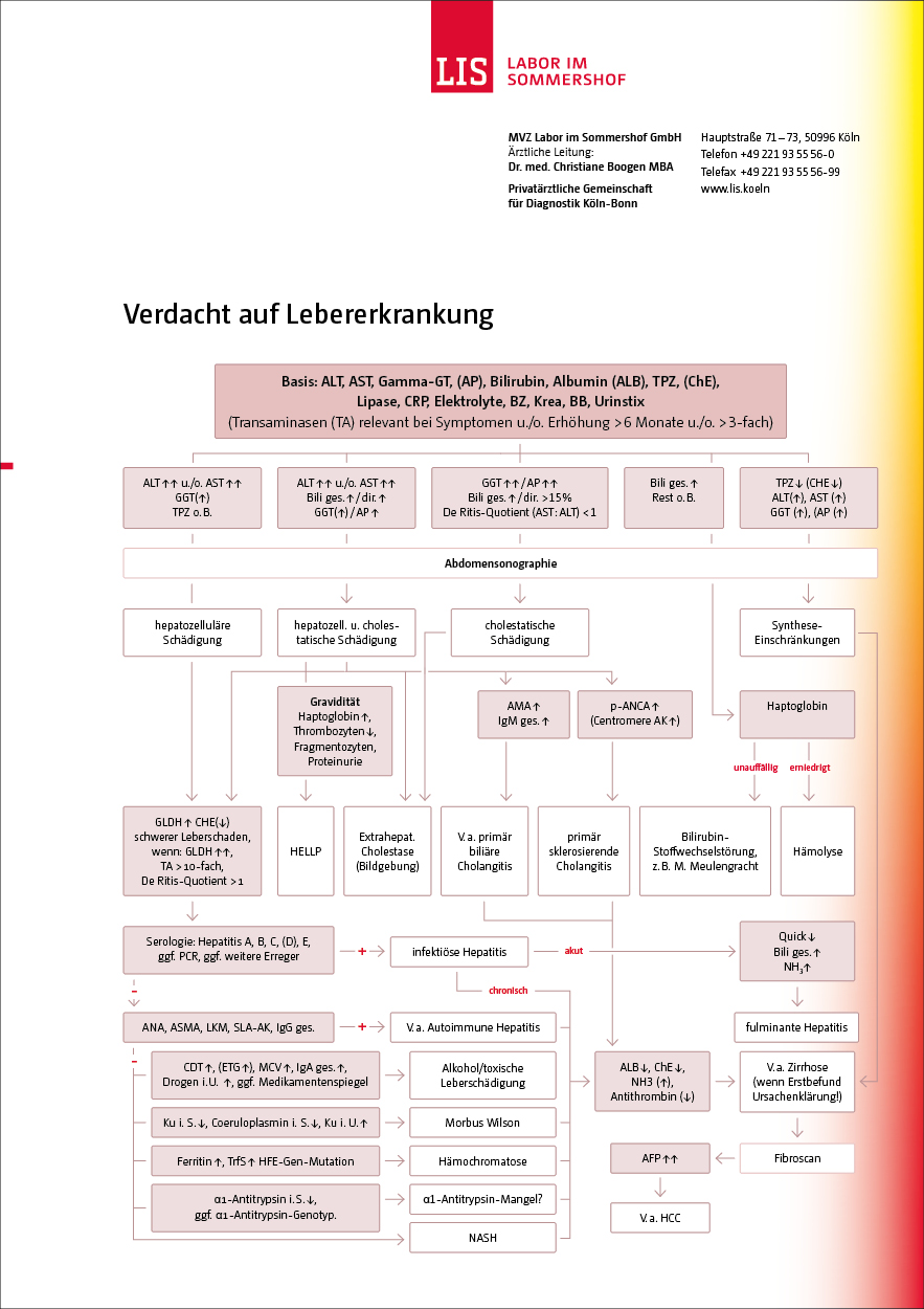 Schaubild Verdacht auf Lebererkrankung